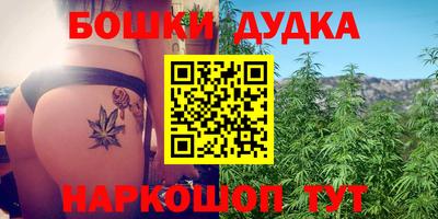 гидра Ачхой-Мартан